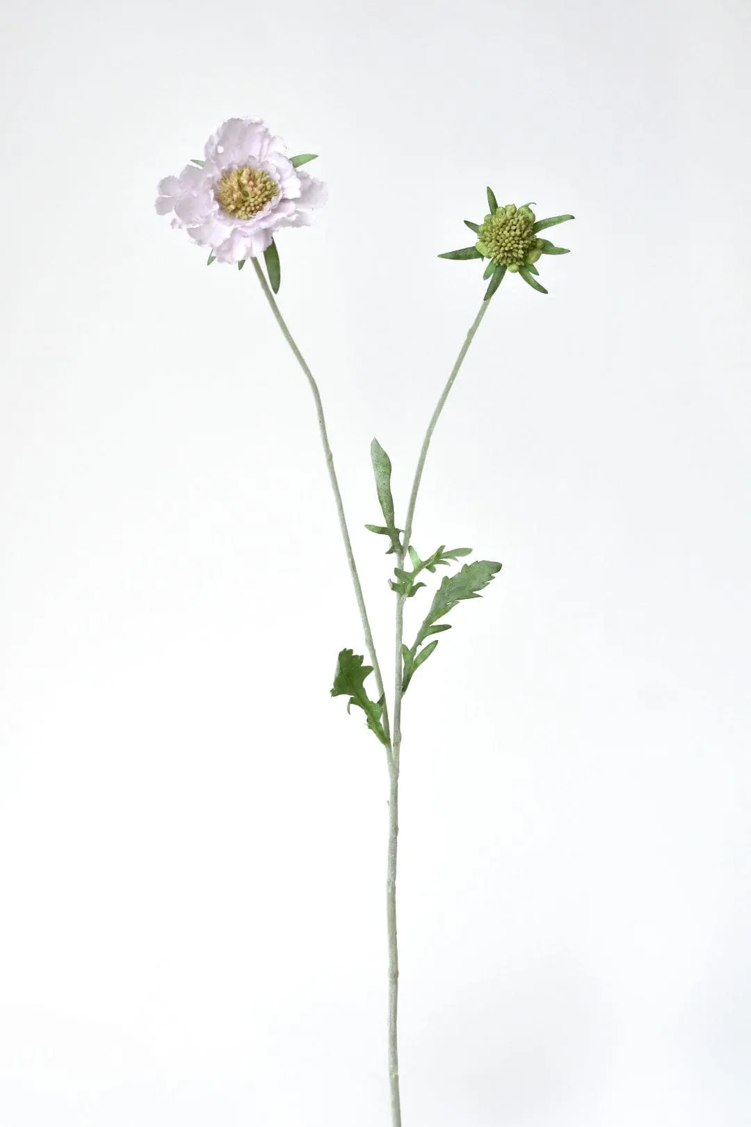 28" Faux Light Lavendar Scabiosa Stem