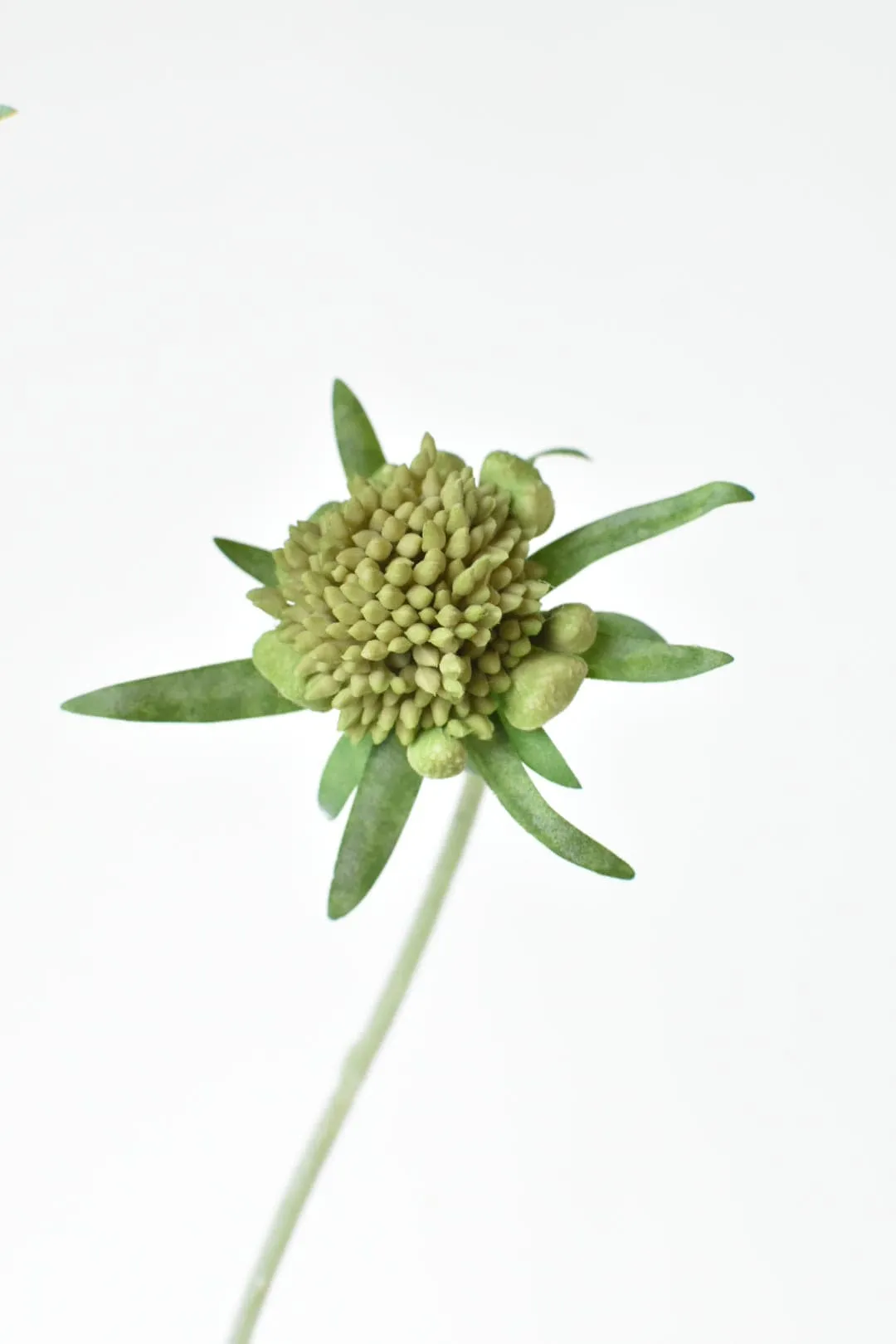 28" Faux Light Lavendar Scabiosa Stem