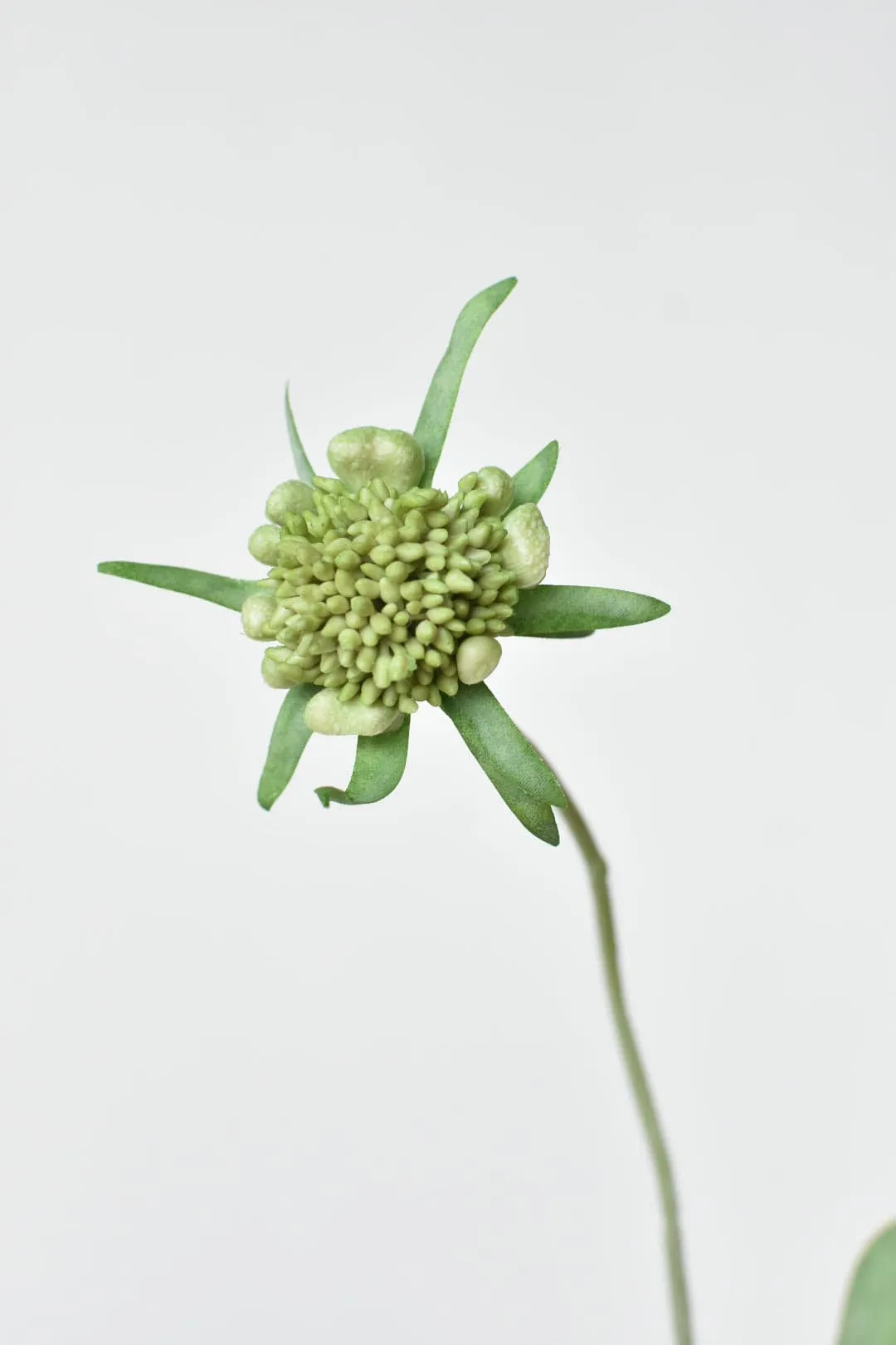 28" Faux White Scabiosa Stem