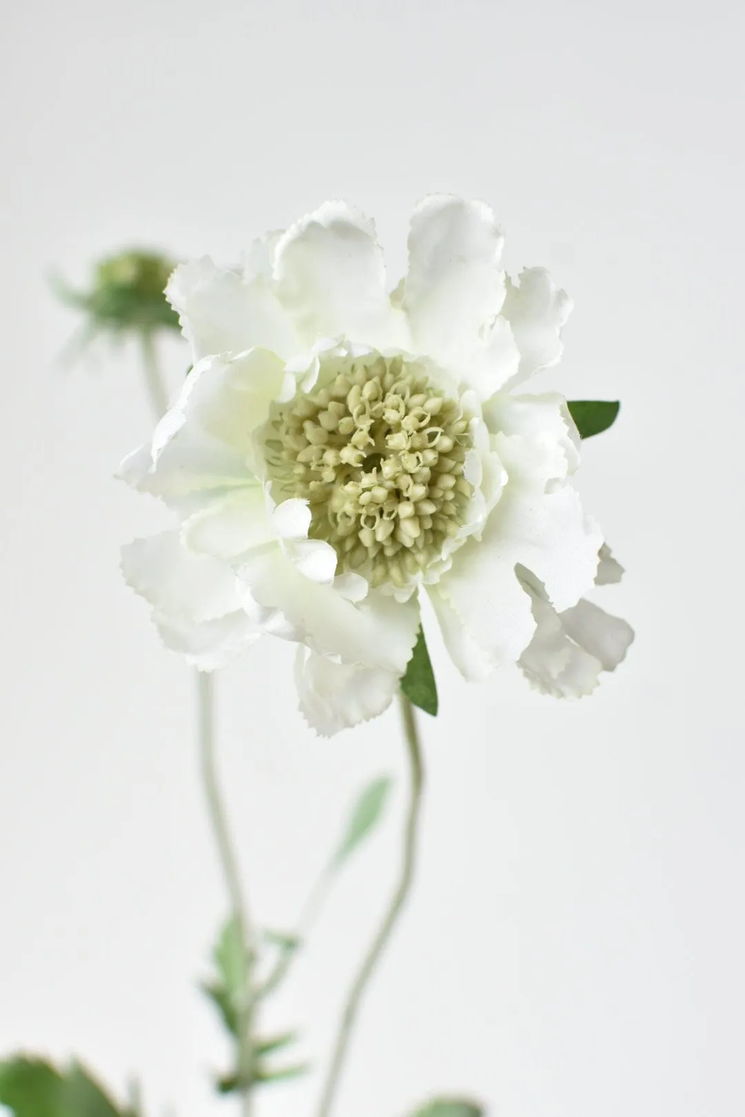28" Faux White Scabiosa Stem