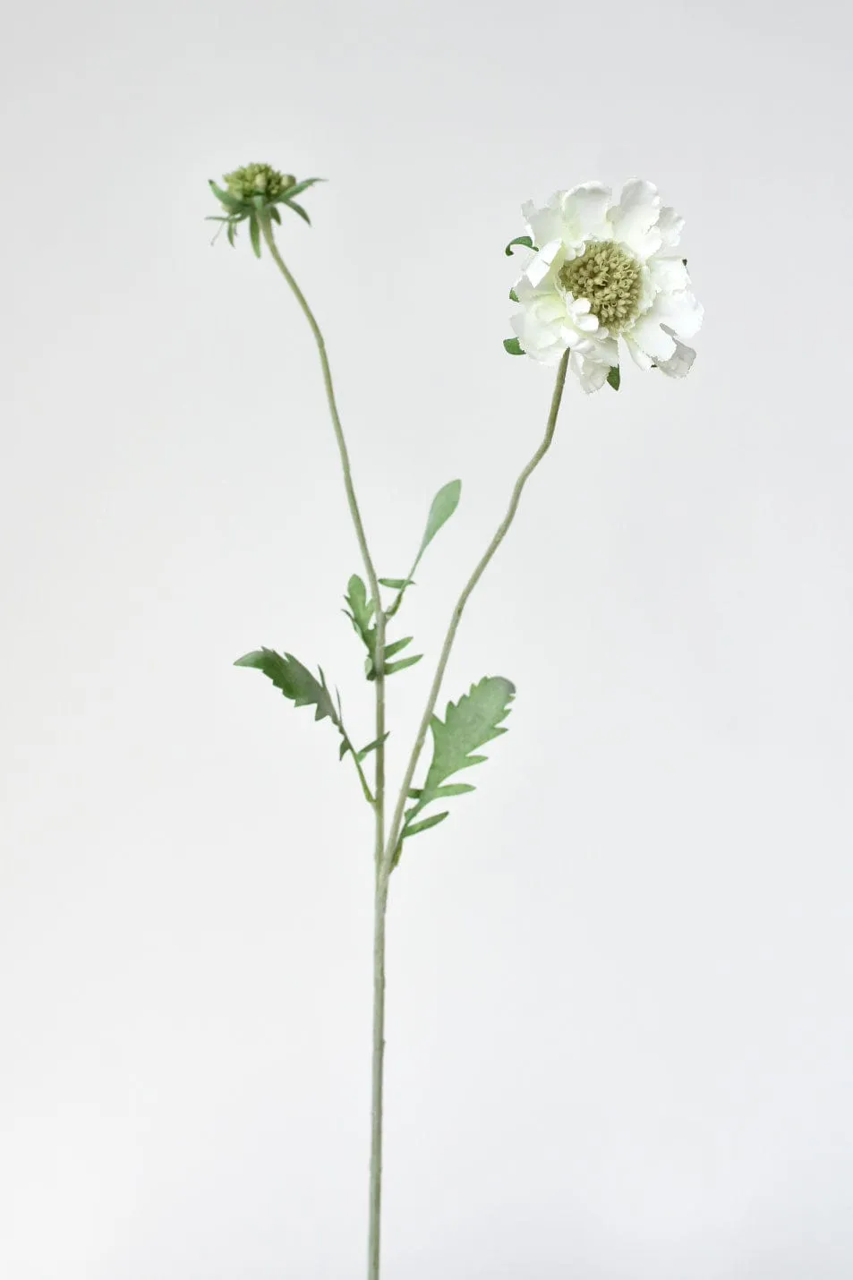28" Faux White Scabiosa Stem