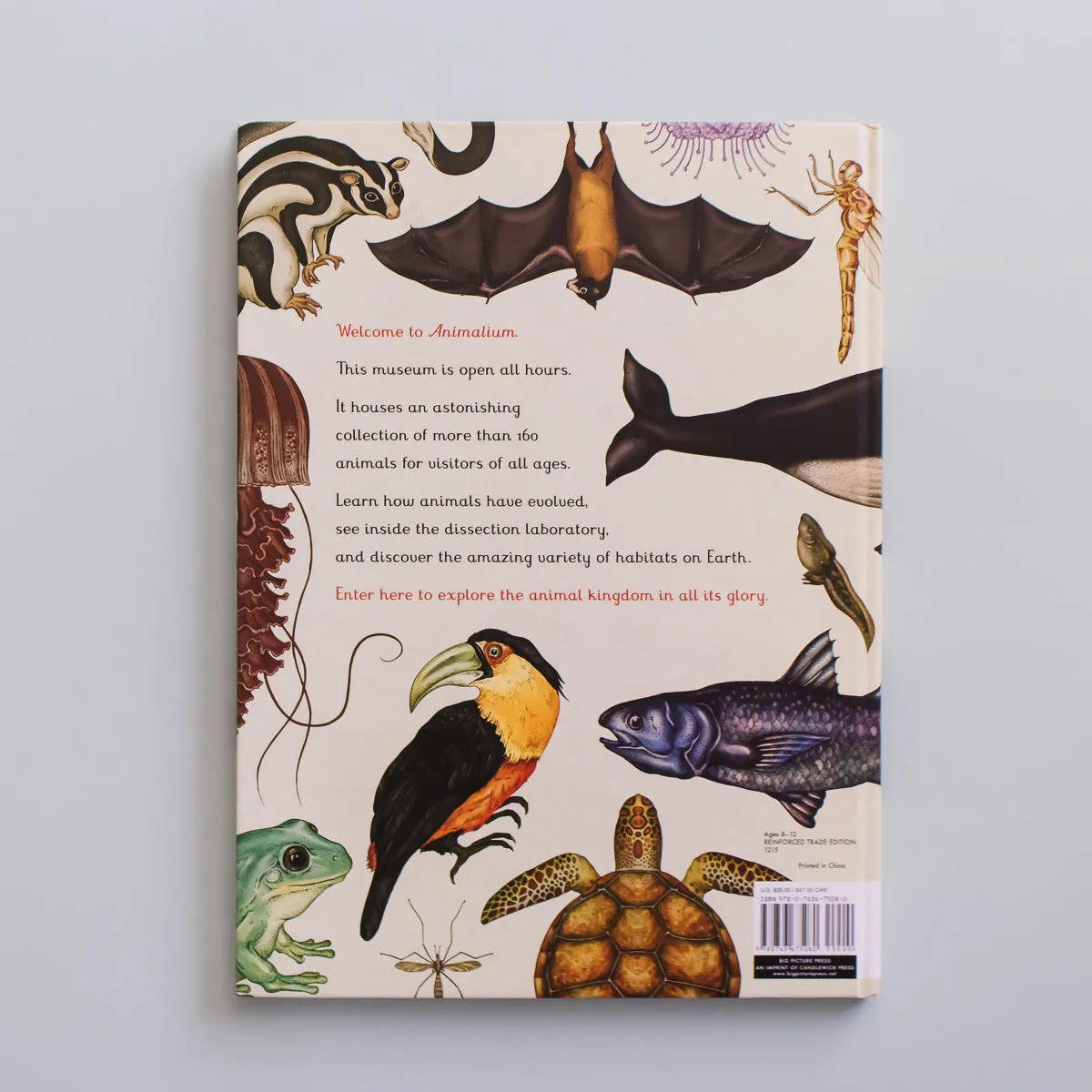 ANIMALIUM