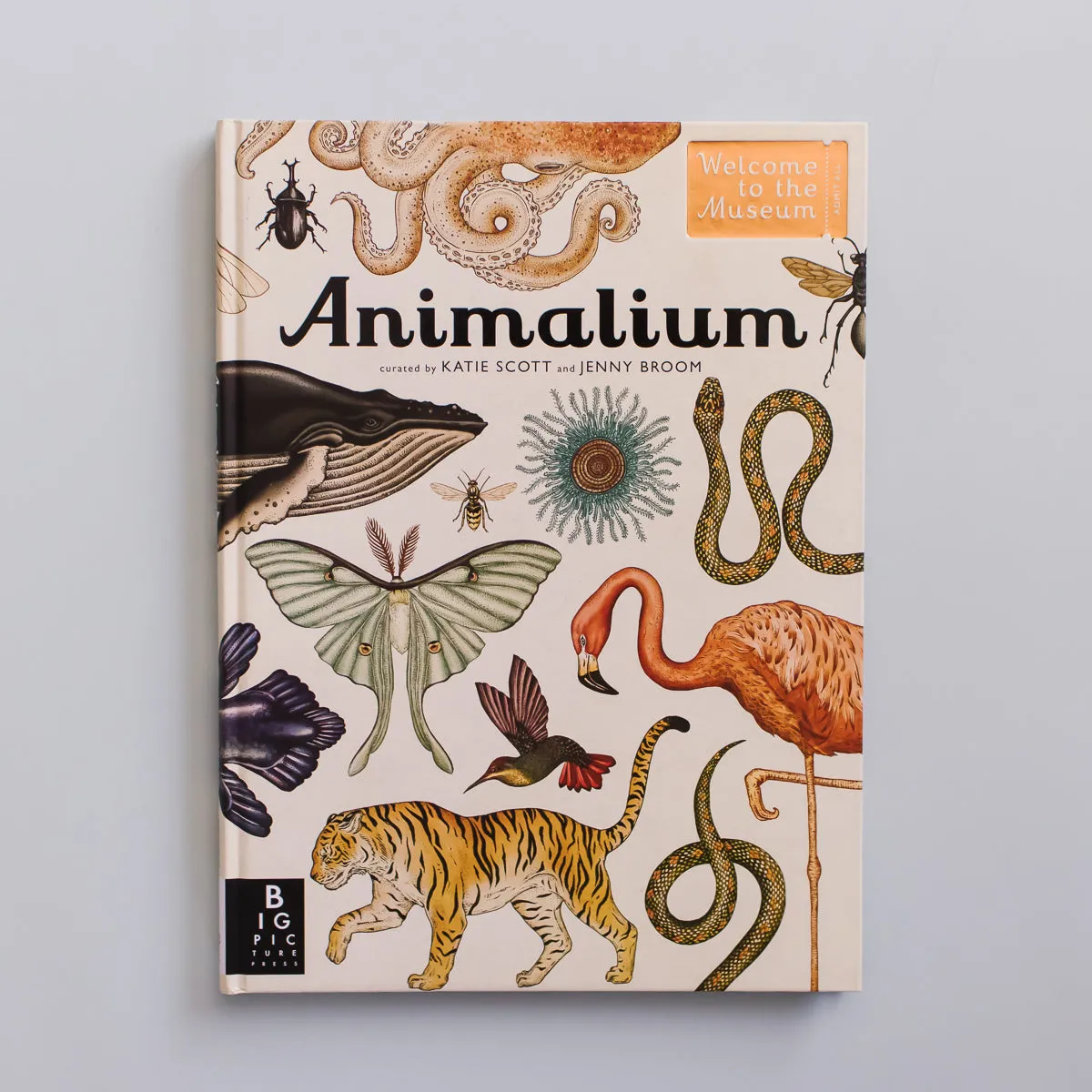 ANIMALIUM