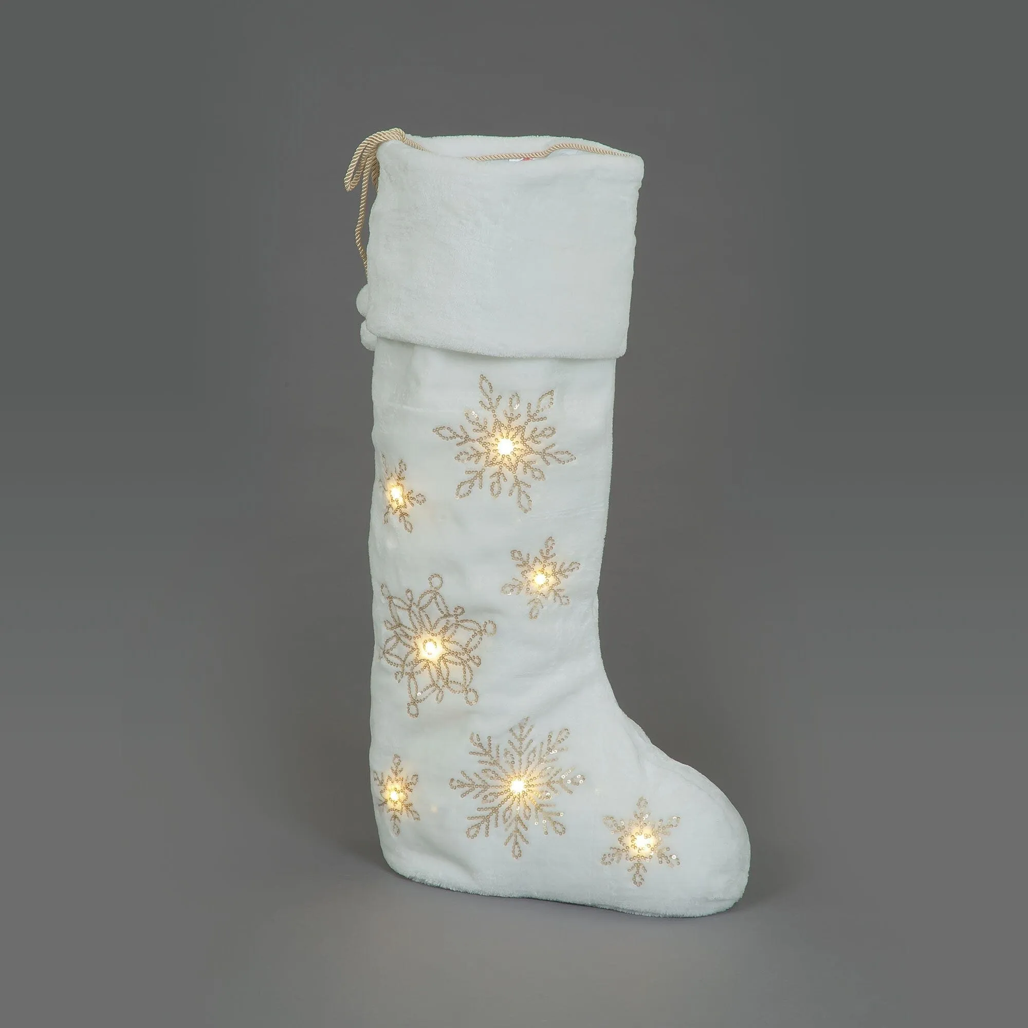 Snowy Days with LED Lights Hanging and Standing Stocking
