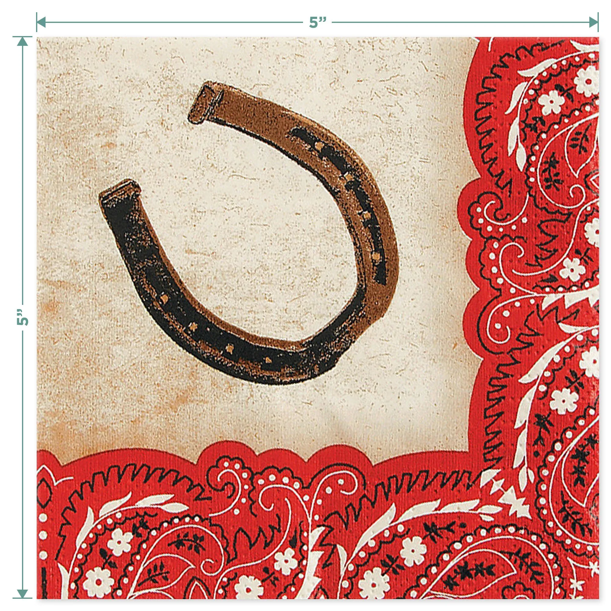 Western Party Supplies - Horse and Wild Western Rider Paper Dinner Plates and Cowboy Hat Luncheon Napkins (Serves 16)
